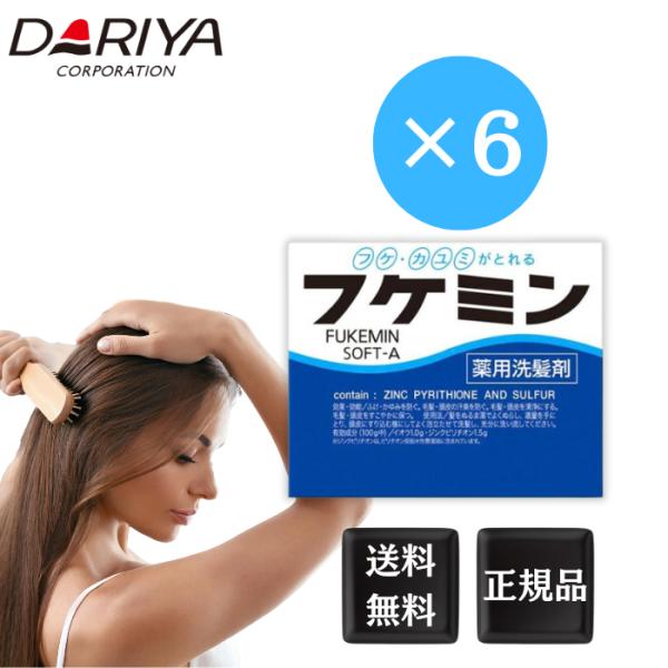 フケミン ソフトA 薬用洗髪剤 10g×5本入 6個 フケ対策 フケ シャンプー