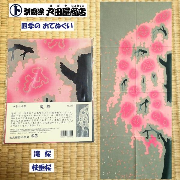 てぬぐい 滝桜 枝垂桜 紅 福島県 三春町 華麗 天然記念物 春 四季 特岡 晒木綿 注染 梨園染 戸田屋商店 贈り物 インテリア ネコポス発送