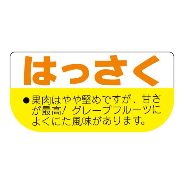 600枚】サ-4596 はっさく （24×49） 販促用ラベル 青果用ラベル 業務用