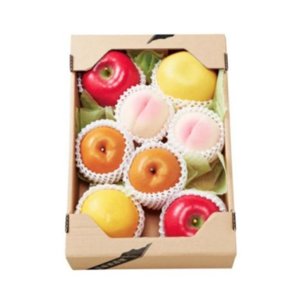 package-marche_650