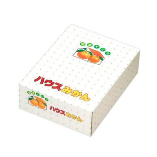 みかん　1箱 package-marche_671