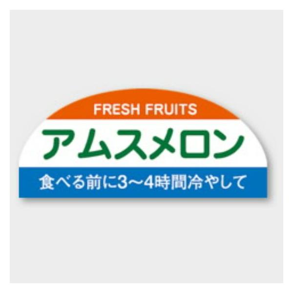 1000枚】H-1528 アムスメロン カミイソ産商 ラベル シール イベント