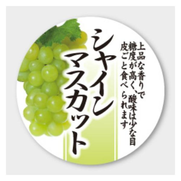 package-marche_6999
