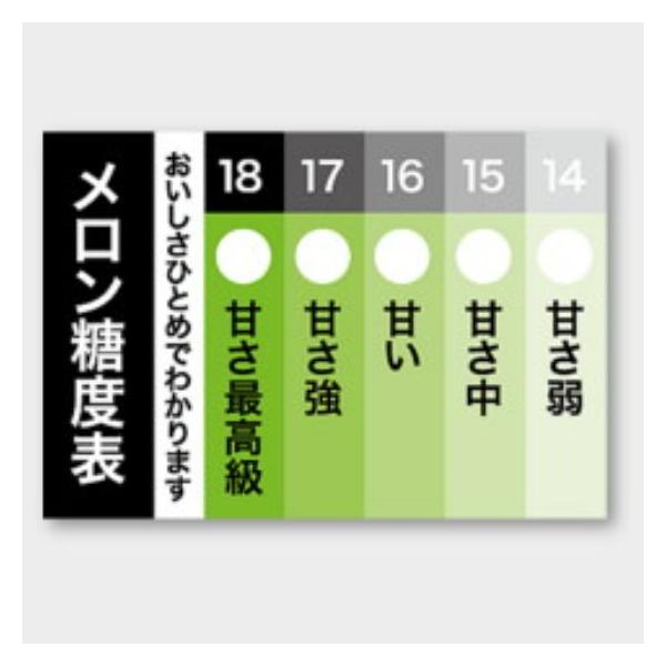 package-marche_7080