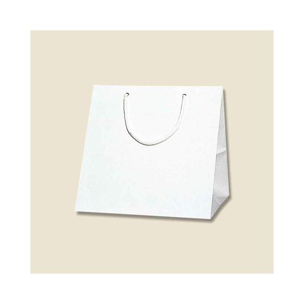 HEIKO �u���C�g�o�b�O �}�`�L 25cm�I C1 �V�� �i10�����j