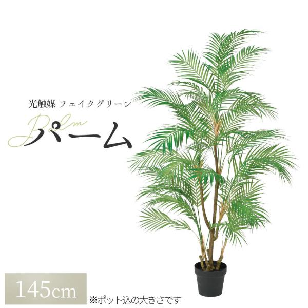 大型フェイクグリーンで手軽におしゃれ空間作り