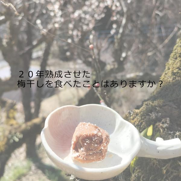 【三年熟成梅】  白干し梅 A級 5kg(塩分約20％) 完熟白干し梅A級品【三年熟成梅】本場紀州南高梅みなべ産 1kg