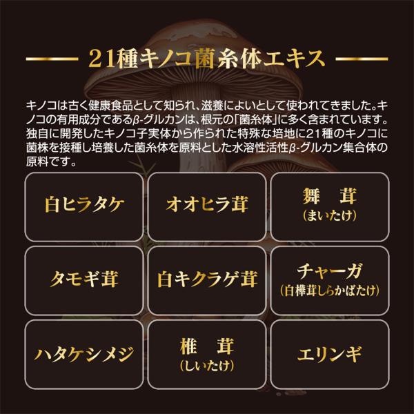 pai-kea_sp002_2_d_20251214142213