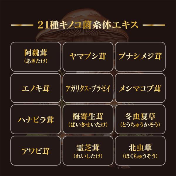 pai-kea_sp002_3_d_20251214142220