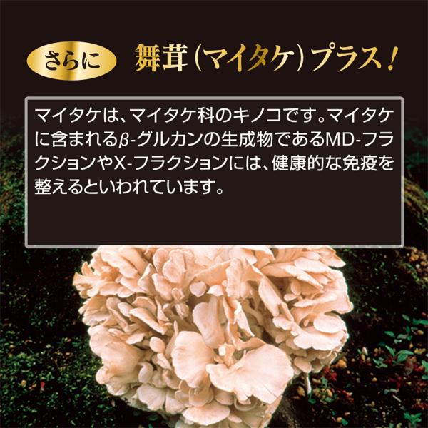 pai-kea_sp002_5_d_20251214142236