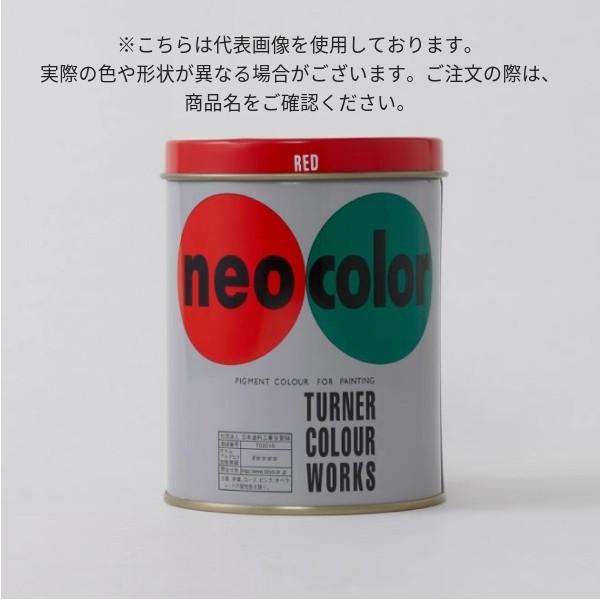 ネオカラー　600ml　D色（缶入）【ターナー色彩】