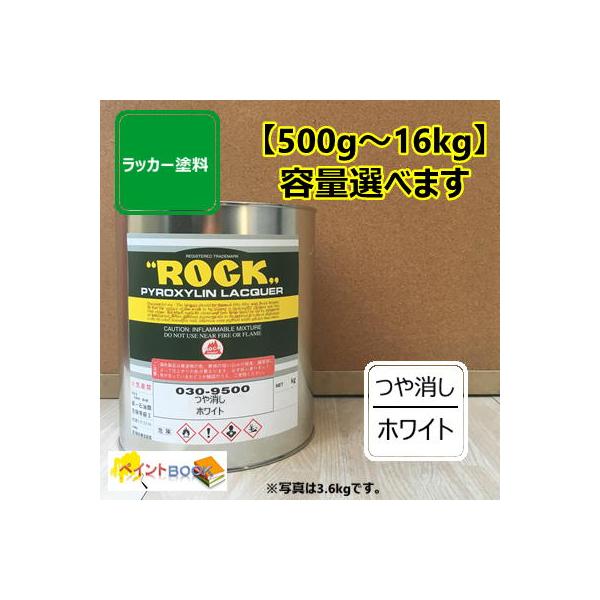  zCgy500g`z bJ[h yL 