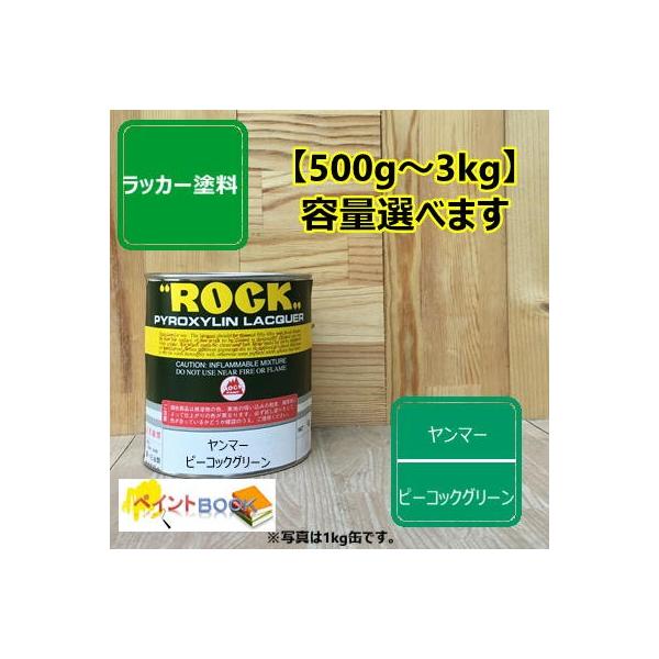 }[ s[RbNO[y500g`zbJ[h yL ݋@B _@