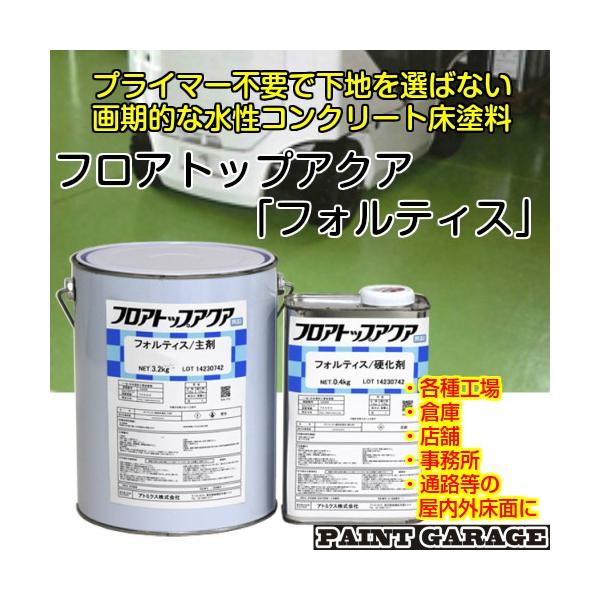 Ag~NX@tAgbvANA tHeBX@3.6Kg fB[vO[i#10j