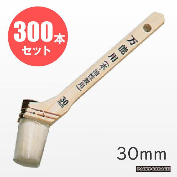 \сiEpnPj30mm@300{ijZbg