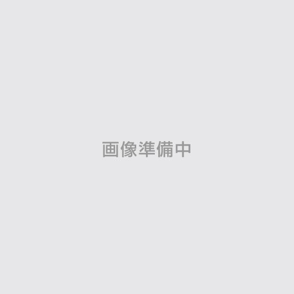 お年玉セール特価】 NT浸透シーラー 14KGセット 2液型 lz-bad-fredeburg.de