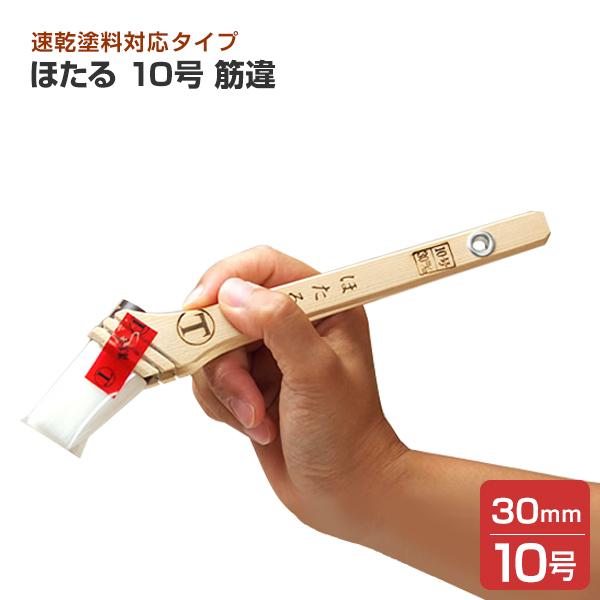 yԌP10{z ق@10@؈@ihp@/ˍѐj@