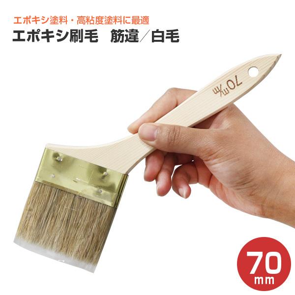 �y���Ԍ���P10�{�z �G�|�L�V���с@�؈�^���с@70mm�@�i��ˍ��ѐ����j