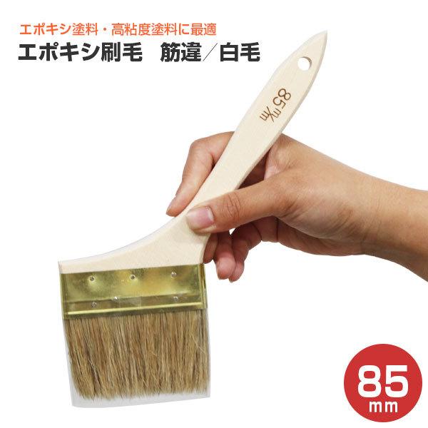 �y���Ԍ���P10�{�z �G�|�L�V���с@�؈�^���с@85mm�@�i��ˍ��ѐ����j