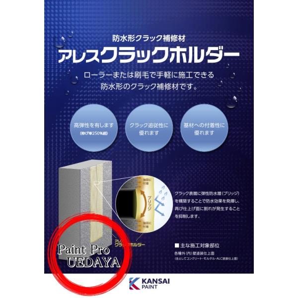 paintprouedaya_ppu-kp-10162