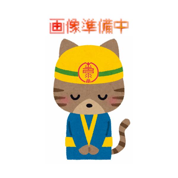 T[AClK[h WF 15kg PtnܓANhK^p˔˗(ՔM)h {yCg