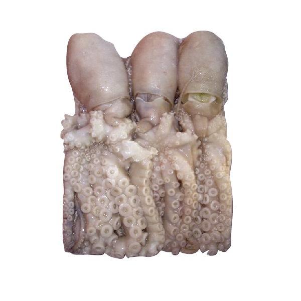 Ⓚ iN` eiK(1.2kg) ubN CY ؍