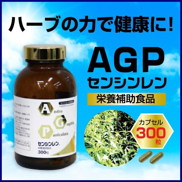 プレゼント サプライズ AGPセンシンレン カプセル 300粒 - その他