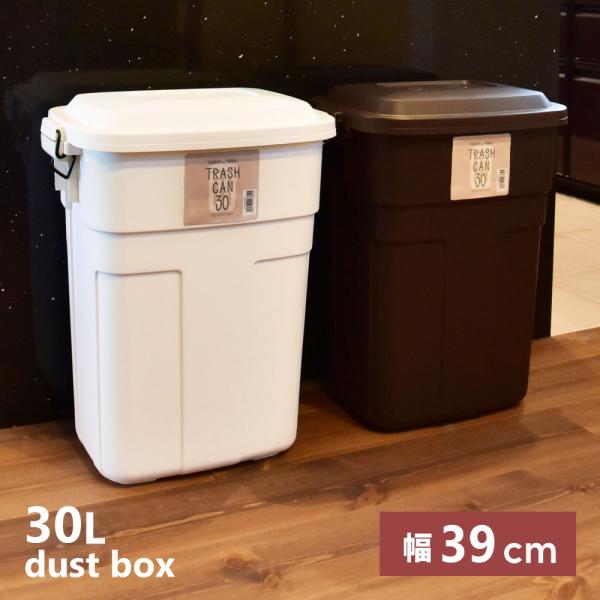 東谷 ゴミ箱 30リットル おしゃれ 分別 ごみ箱 屋外