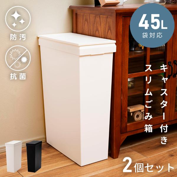 RISU（リス） ゴミ箱 40リットル 2個セット 45L対応 分別 スリム 