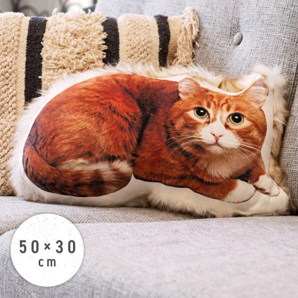 palette-life_ttc-401c