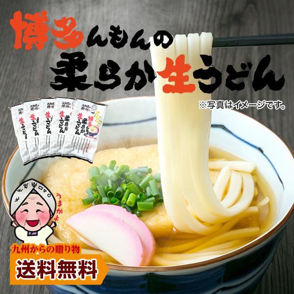 送料無料 幻の五島うどん (長崎五島手延べ うどん ) 約9人前(あごスープ付) お取り寄せ 得トクセール お試し  :goto-udon01:九州からの贈り物 ヤフー店 - 通販 - Yahoo!ショッピング