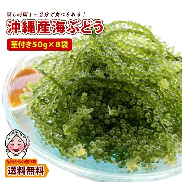 産地直送 海ぶどう(茎付き)50g×8袋 沖縄の海の宝 プチプチ食感 沖縄県産 エコ包装 塩水漬け 海藻 海ブドウ 食品 土産 ポイント利用 爆買 ポイント消化