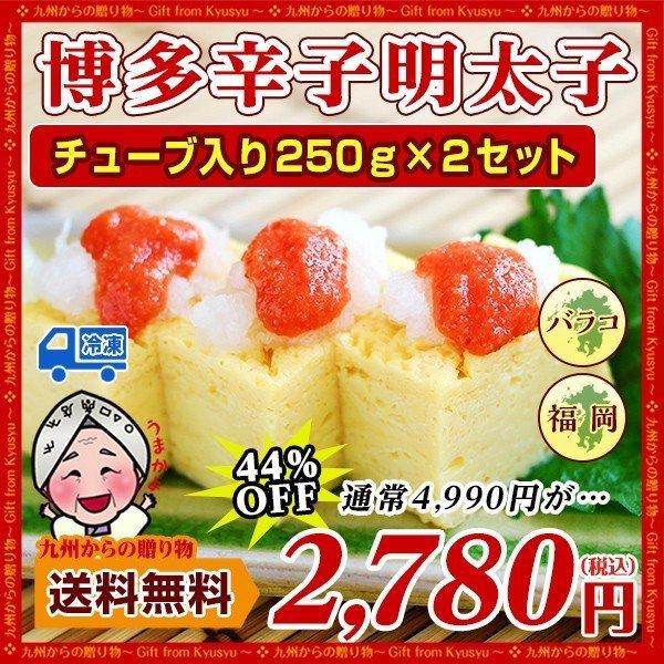有色 辛子明太子バラコ チューブ250g ２本セット 食品 お取り寄せ 博多 明太子 お取り寄せ 送料無料 バラ子 辛い 激辛 ギフト B1 Snkd Tb250 九州からの贈り物 ヤフー店 通販 Yahoo ショッピング