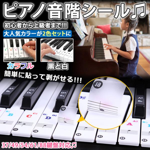 楽天市場】ドレミ階段スライドボードドレミ階段 和音ピアノ教材