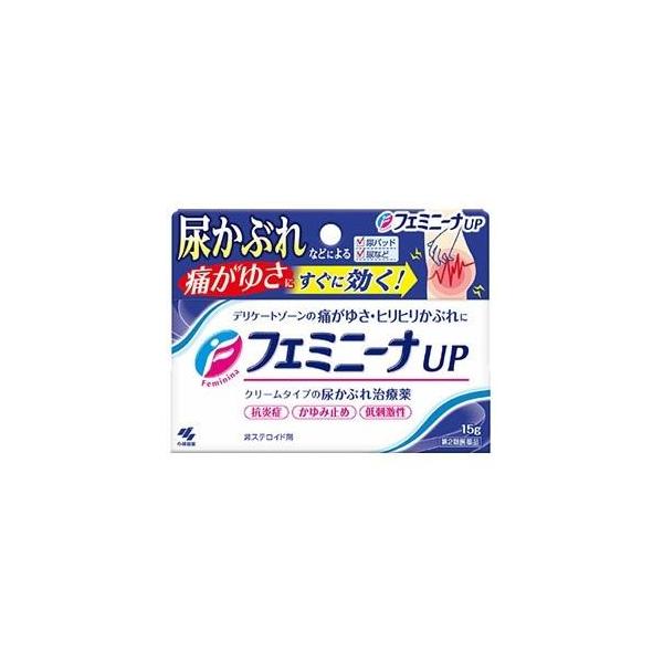 他サイト： 最終 フェミニーナUP 15g 第2類医薬品 小林製薬 非ステロイド デリケートゾーン 抗炎症 かゆみ止め 低刺激性の商品画像