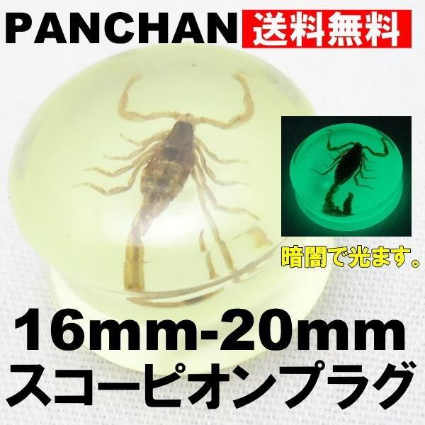 プラグ サソリ スコーピオン 本物 リアル 16mm 18mm 20mm ボディピアス アクリル フレア 光