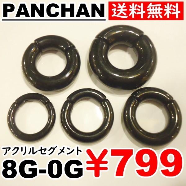 8G 6G 4Ｇ 2G 0G キャプティブ ボディピアス ブラック アクリル プライヤー不要 アレルギー セグメント リング