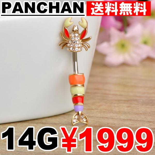 ւsAX CV Gr uX^[ 14G XeX S[h J[ {fBsAX