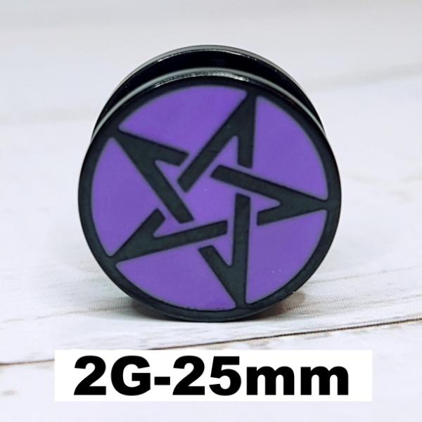 トンネル 2G 0G 00G 12mm 14mm 16mm 19mm 22mm 25mm ステンレス ブラック パープル ボディピアス 星 五芒星