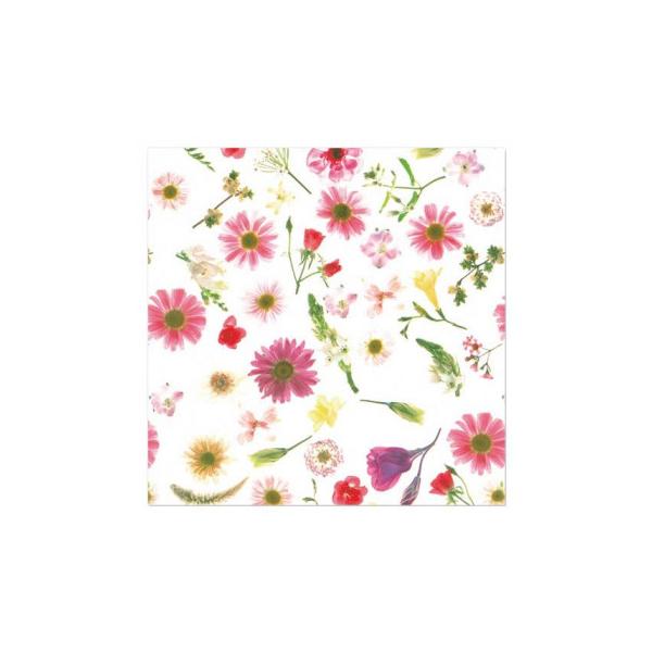 送料無料 包装紙 Qラップ フラワーアレンジ 100セット Q 46 B03 パンダファミリー 通販 Yahoo ショッピング