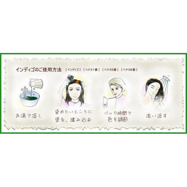 さらに値下げ ヘアカラー Indigo インディゴ 2回染め用 容器入り 300g Ind容 1 ヘナで明るくなった髪色を落ち着かせる2回染め専用パウダー 被り心地最高 Carlavista Com