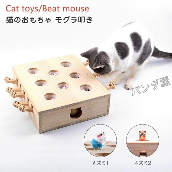 pandahome_pd-21omt09