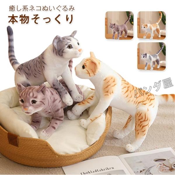 pandahome_pd-cat1456