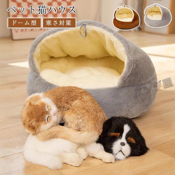 pandahome_pd-cattery1367