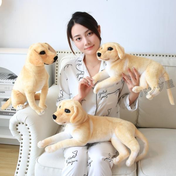 pandahome_pd-dog22xiaomizou