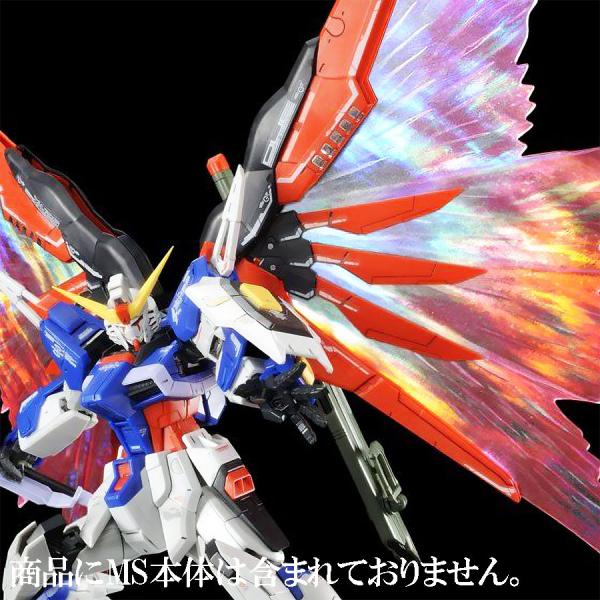 BANDAI 【即納新品】RG 1/144 デスティニーガンダム用 拡張