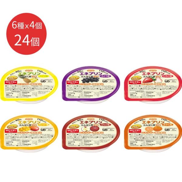 エネプリン 100個セット エネプリン フルーツアソートセット 合計24個セット（6種×各4個入り