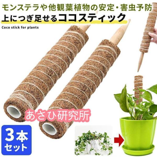 ■商品名■ココスティック3本セット■商品説明■天然ココナッツ繊維を使用した園芸用支柱。見た目もお洒落なので景観を損なわず、観葉植物などにも最適。風通しが良くなるため、病気や害虫の発生を防ぎます。植物の高さに合わせて継ぎ足せる構造で大変便利。...