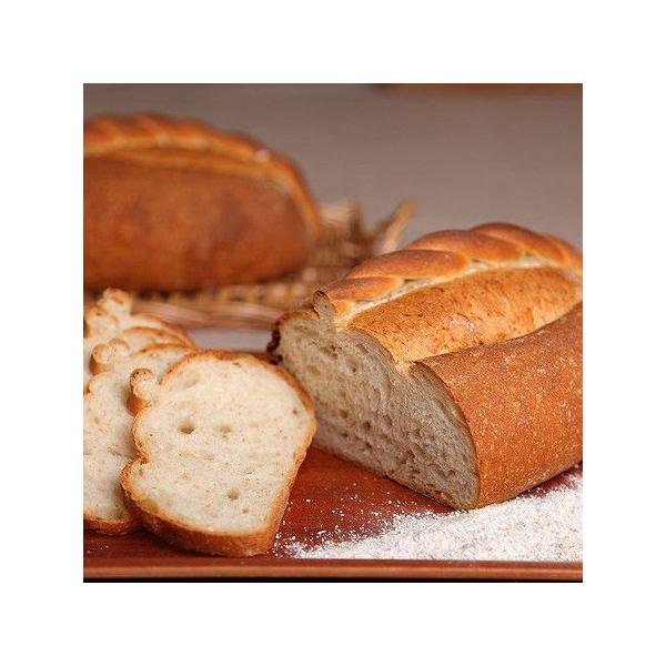 Jp[jv[y{̖zySzytXpz-pH[J-