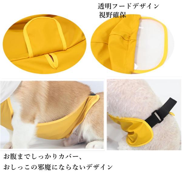 数量は多 犬用レインコート 犬レインコート ポンチョ型 ドッグウェア 犬カッパ 雨具 腹当て 透明フード付き ダックスフント 雨対策 散歩 M 8xl お出かけ Aynaelda Com